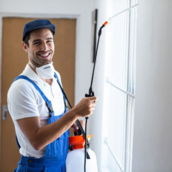 Professional technician with spray equipment for pest control in Lucknow