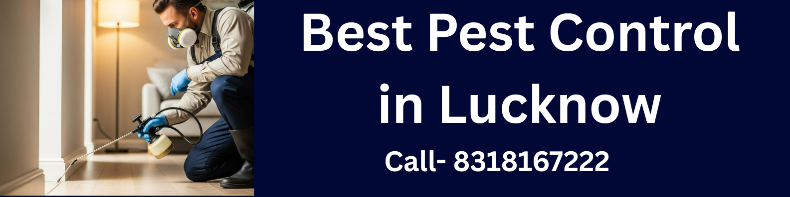 Best Pest Control In Lucknow