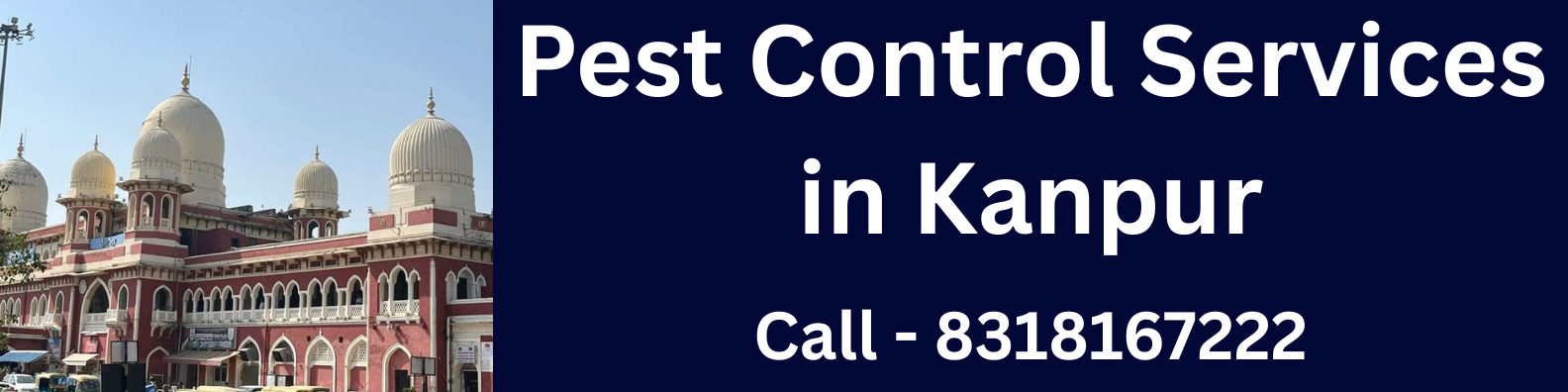 Pest Control In Kanpur
